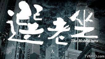 选老顶演员表,实力派演员齐聚，演绎传奇人生